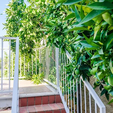 Cicko - One Bedroom With Terrace And Sea View Attic Dubrovnik